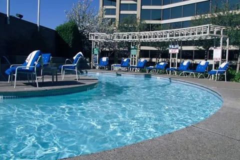 Marriott Walnut Creek bar — lounge in Downtown Walnut Creek / Broadway Plaza, Walnut Creek